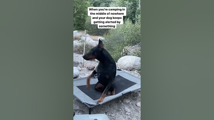 My dog sensed something I couldn’t see when camping in the middle of nowhere.. 😨😨