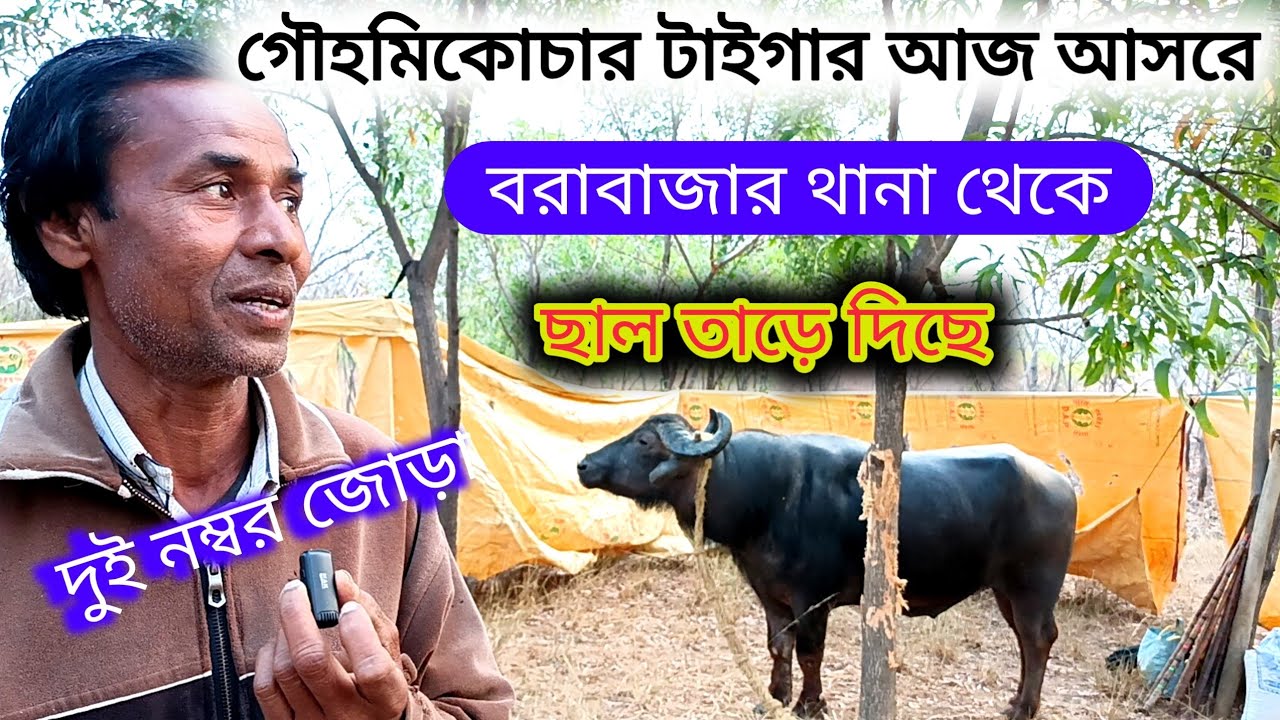 মকর বাবুর কাড়ায় আজ মিশিরডি আসরে ছাল তারে দিছে কি বলছে দেখুন