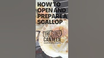 How to open and prepare a scallop like a professional chef 👩‍🍳