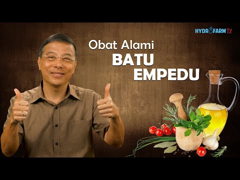 Ramuan Batu Empedu Zaidul Akbar