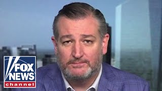 Ted Cruz: The Democratic Party has turned 'horrid anti-Israel'