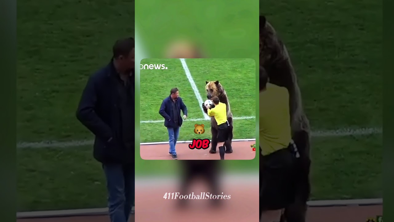 The CRAZIEST animal moments in football history!🐻⚽️