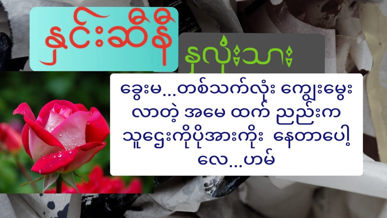 နှင်းဆီနီနှလုံးသား အပိုင်း ( ၂) | မအေးလေး  