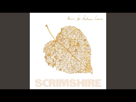 Watch Sycamore on YouTube Watch Sycamore on YouTube