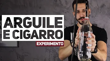 Quantos de nicotina tem um narguilé?