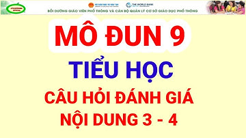 Mô Đun 9 Tiểu Học: Đáp án câu hỏi đánh giá Nội dung 3 và 4 Mô Đun 9 Tiểu Học/LÊ KHƯƠNGĐL OFFICIAL