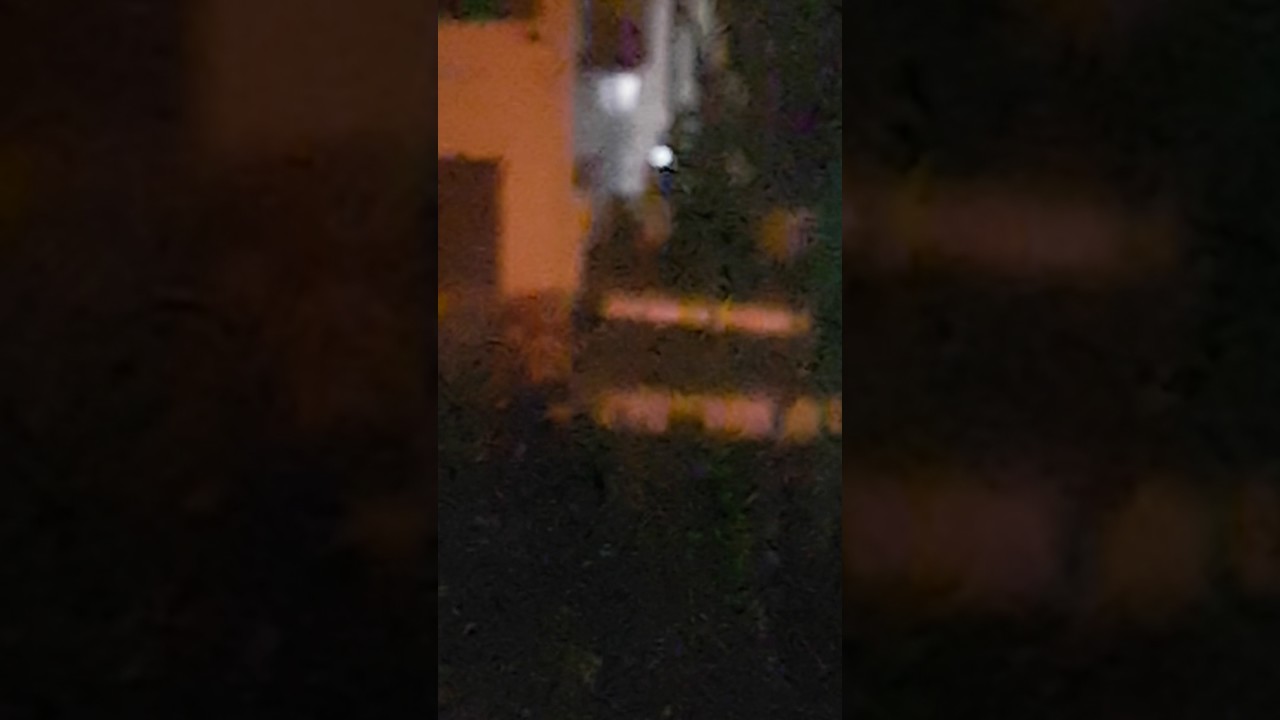 570+ Foto Hantu Galah Gratis Terbaru