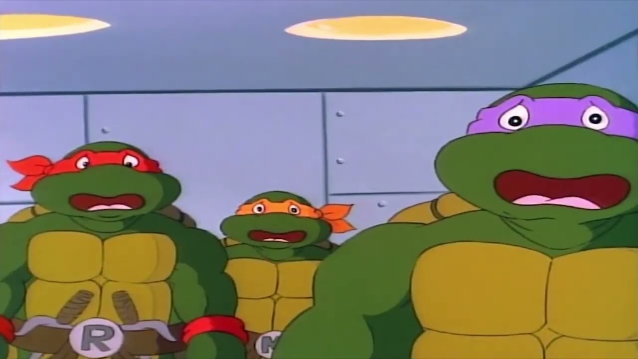 my pet peeve is a turtle