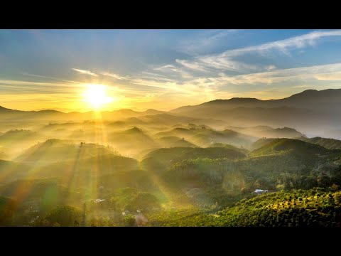 Le Soleil Intérieur - Michel Pépé