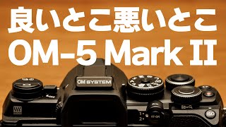 【使って実感】OM-5 Mark II 良いところ悪いところ