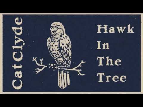 Cat Clyde - Hawk In The Tree (Official Audio)