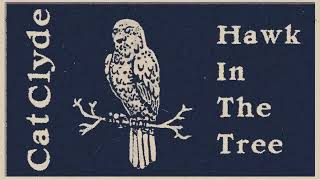 Vídeo de Hawk In The Tree