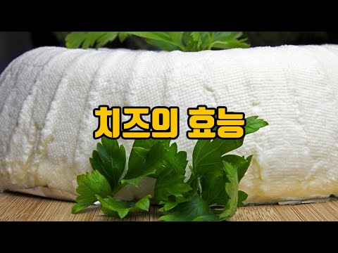치즈의 효능! 유기치즈의 효능! 건강한 단백질!