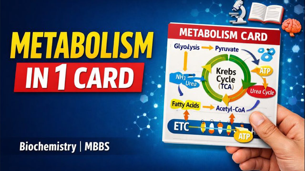 Metabolic Rack Card Biochemistry Metabolism Card | All Metabolic Pathways in One Card ...