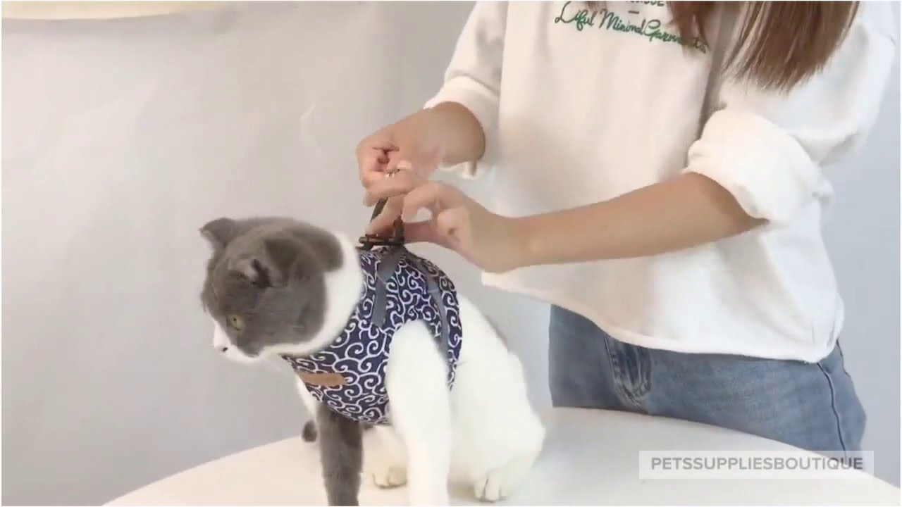 Best Cat Harness and Leash for your pet cat 2021 -Pets Supplies Boutique