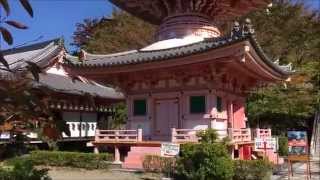 Tsubosaka-dera Temple 西国三十三箇所第六番札所 壺阪寺 - YouTube