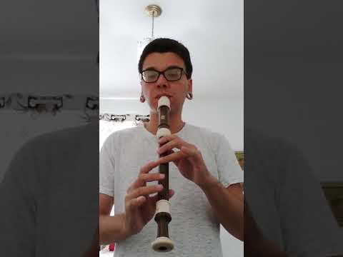 Partita BWV 1013,