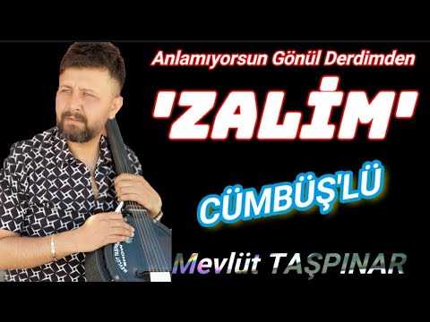 Zalim (Anlamıyorsun Gönül Derdimden) | Cümbüş'lü - MEVLÜT TAŞPINAR | Cover #cümbüş #arabesk