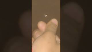 night moon funtastics view...