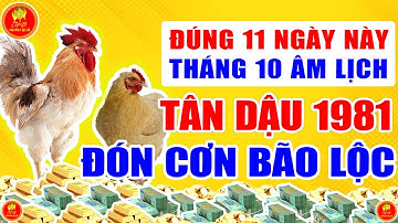 Tân Dậu 1981 Từ Ngày 5 Đến Rằm Tháng 10 Âm Lịch ĐÓN CƠN BÃO LỘC Hay BẾ TẮC