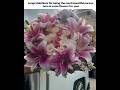 Beautiful flowers for beautiful person! ๐ #aestheticvideo #trending #viralvideo