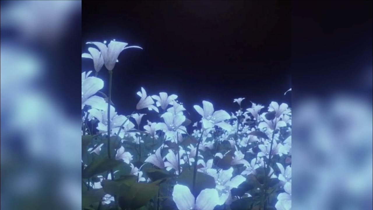 silhouette — pastel ghost (slowed down & echo) YouTube