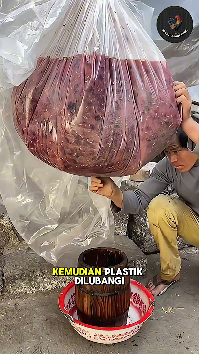Anggur bejek!