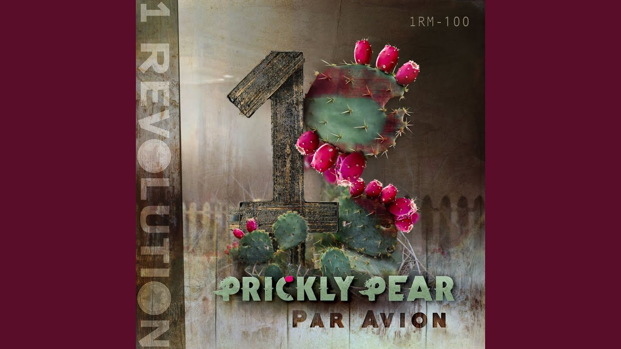 Rosa's Cantina YouTube Music