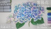 ハイビスカスの絵 簡単に書ける花の絵 可愛いイラストの書き方 Youtube ハイビスカスの絵 簡単に書ける花の絵 可愛いイラストの書き方 Youtube