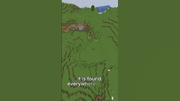 Most common block in Minecraft | #minecraft #viral #trending #shorts #minecraftshorts #fyp #gaming