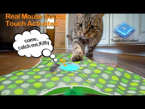 umosis Interactive Cat