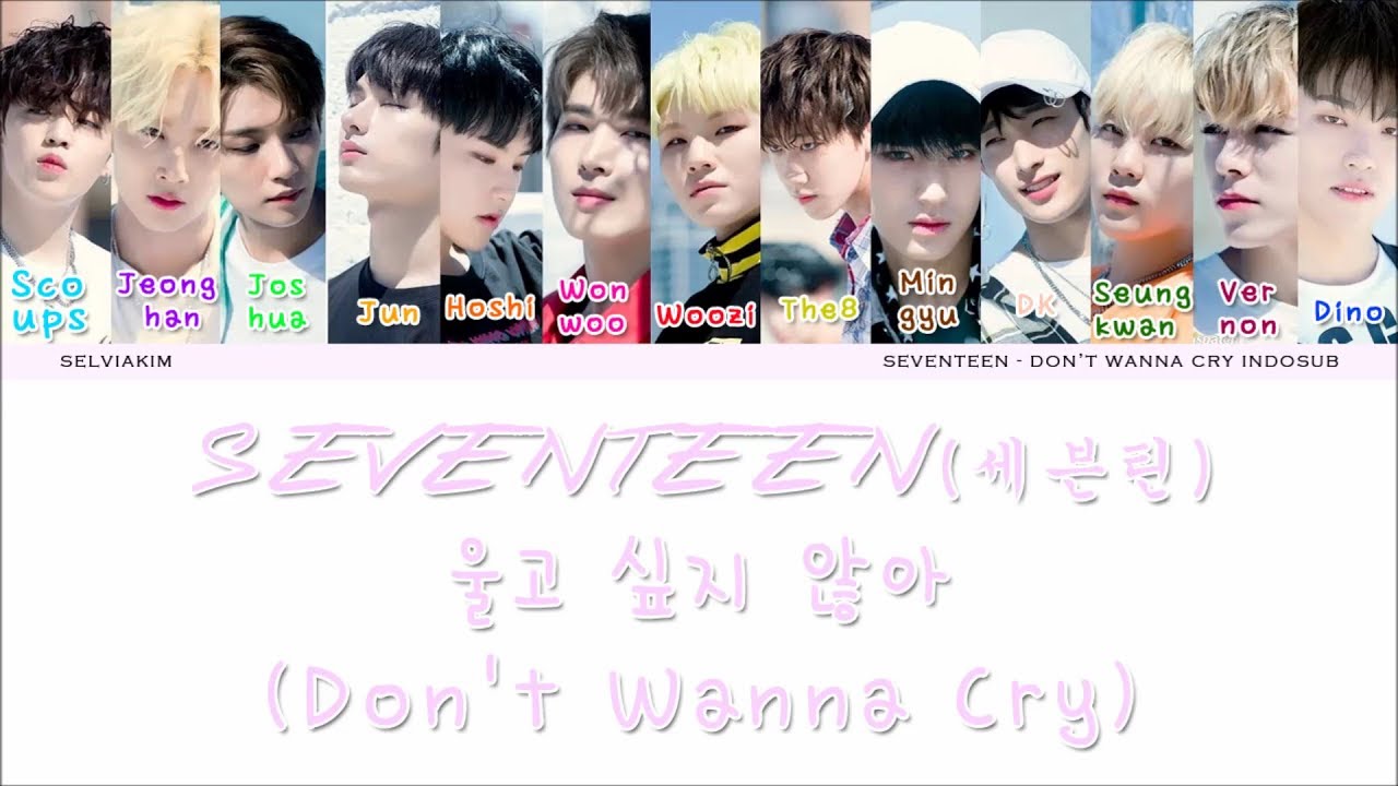 SEVENTEEN (세븐틴) - DON'T WANNA CRY (울고 싶지 않아) Lyrics (Color Coded/IND ...