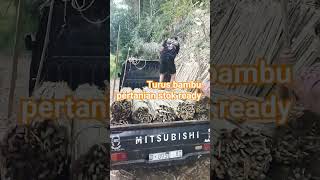 Turus bambu untuk pertanian #masukberada #pertanian #turus #automobile #harusberanda #sawah
