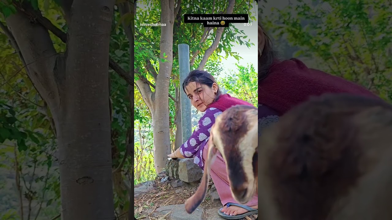 vini ki mimi bhi camera lover hai 🤪😅 #vinieminivlogs #himachal #nature #phadilifestyle