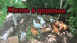 ЖИЗНЬ В ДЕРЕВНЕ #villagelife
