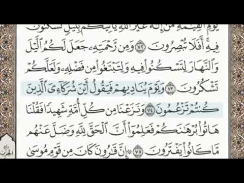 سورة القصص الصفحة 394 الشيخ محمد صديق المنشاوي
