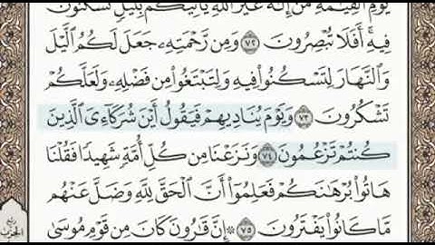 سورة القصص الصفحة 394 الشيخ محمد صديق المنشاوي