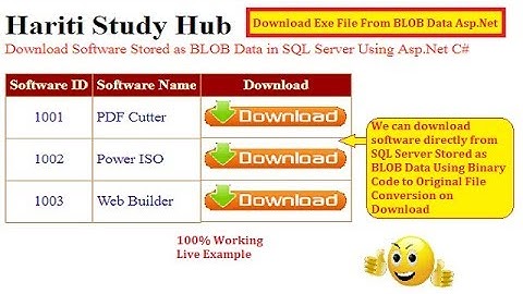 Download Software Exe File From SQL Server Stored BLOB Data in Asp.Net C# | Hindi | Free Learning