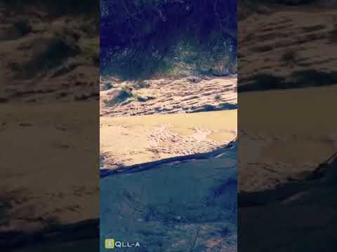 ترا العمر كيفات مدموجه ب شيلة يامرحبا يادهر قلبي تصوير وتصميم نواف العتيبي 