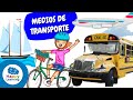 Comprendiendo los Medios de Transporte