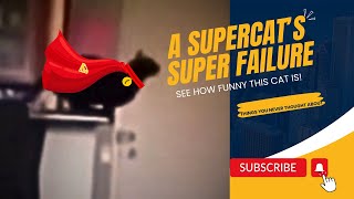 This SuperCat Fails Badly! Funny Cat Jump Fail Video I Try Not To Laugh