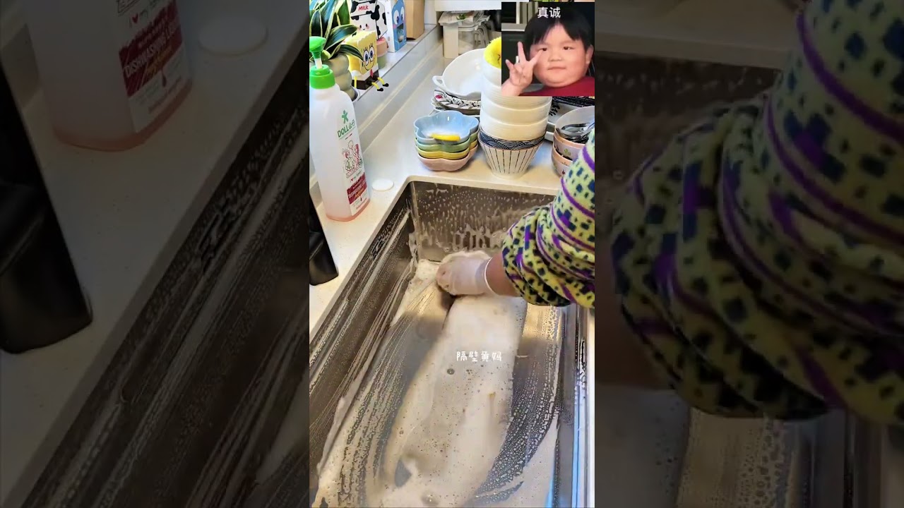 Learn Dish Duty: The Ultimate Flat-Lie Flip to Success