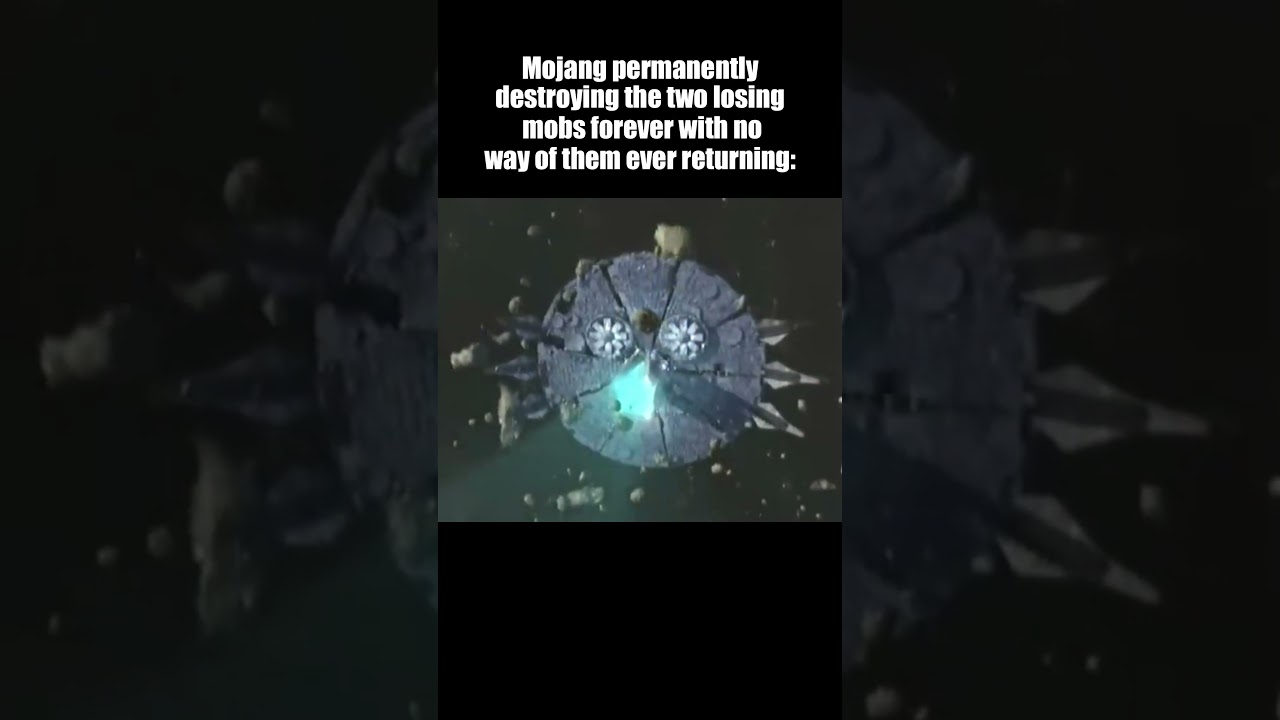 Common Mojang L 🤦‍♂️