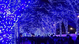 鈴の音と光が連動する「青の洞窟」