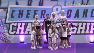 AAS Shimmer Highlights 18