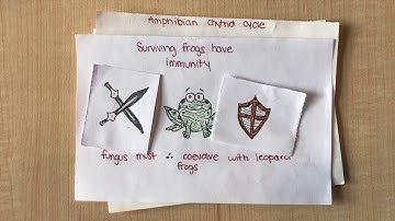 The Red Queen Hypothesis