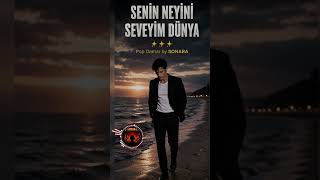 Senin Neyini Seveyim Dünya - Damar by SONARA 