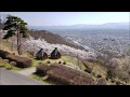 Matsumoto Wasabi and Alp Park in Spring 2018