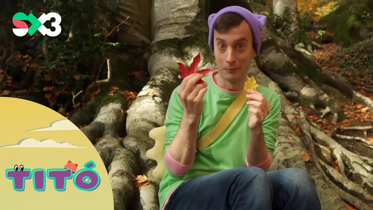 Excursió a la tardor | Titó