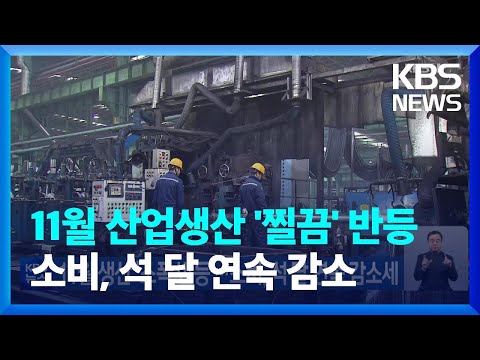 11월 생산 ‘소폭 반등’…소비, 석 달 연속 감소세 / KBS  2022.12.29.